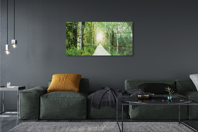 Quadro acrilico Birch Forest Road Birch