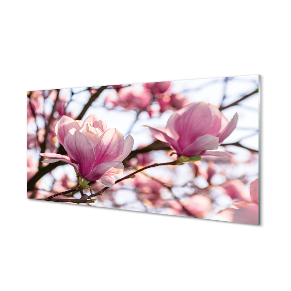 Quadro acrilico Alberi magnolia