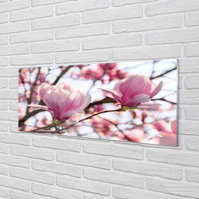 Quadro acrilico Alberi magnolia