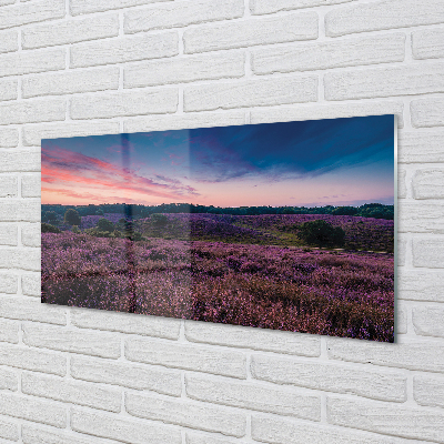 Quadro in vetro acrilico Campo heather