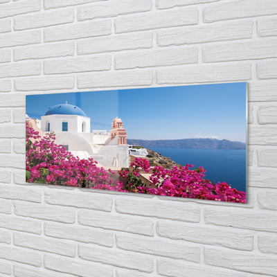 Quadro acrilico Edifici marini dei fiori della Grecia