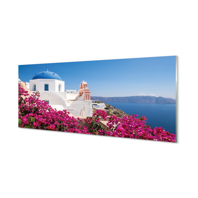 Quadro acrilico Edifici marini dei fiori della Grecia