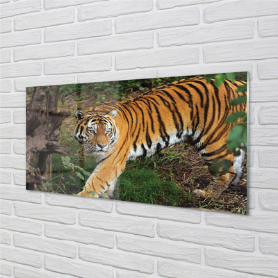 Quadro acrilico Foresta di tigre