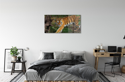 Quadro acrilico Foresta di tigre