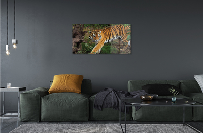 Quadro acrilico Foresta di tigre