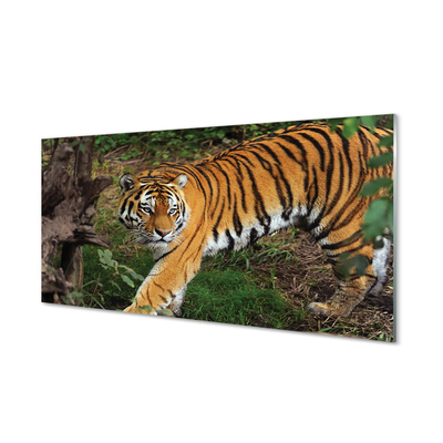 Quadro acrilico Foresta di tigre