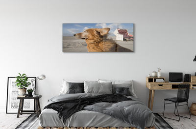 Quadro vetro acrilico Spiaggia di cani marrone