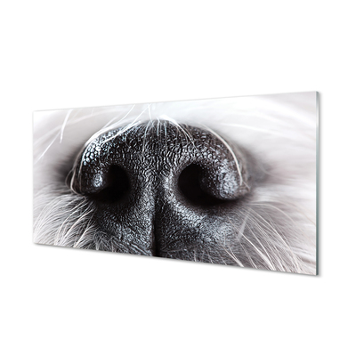 Quadro vetro acrilico Naso del cane