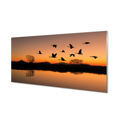 Quadro acrilico Sunset di uccelli volanti