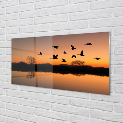 Quadro acrilico Sunset di uccelli volanti