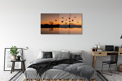 Quadro acrilico Sunset di uccelli volanti