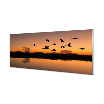 Quadro acrilico Sunset di uccelli volanti