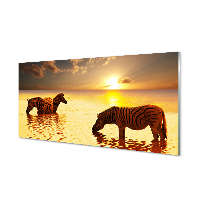 Quadro vetro acrilico Tramonto di acqua zebra