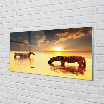 Quadro vetro acrilico Tramonto di acqua zebra