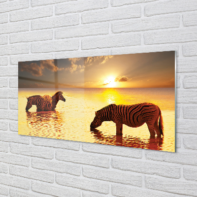 Quadro vetro acrilico Tramonto di acqua zebra