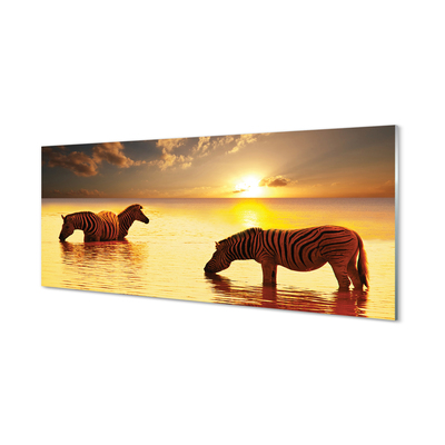 Quadro vetro acrilico Tramonto di acqua zebra