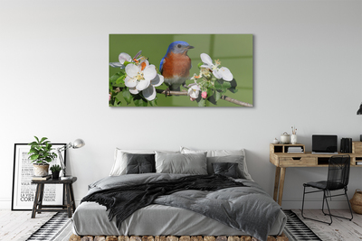 Quadro su vetro acrilico Fiori di pappagallo colorati