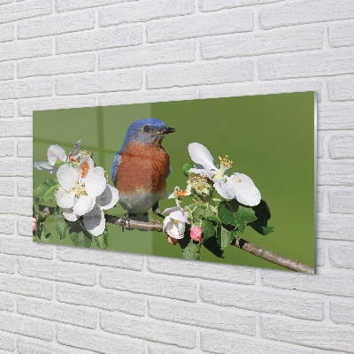 Quadro su vetro acrilico Fiori di pappagallo colorati