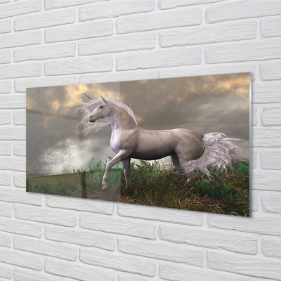 Quadro su vetro acrilico Nuvole di unicorno