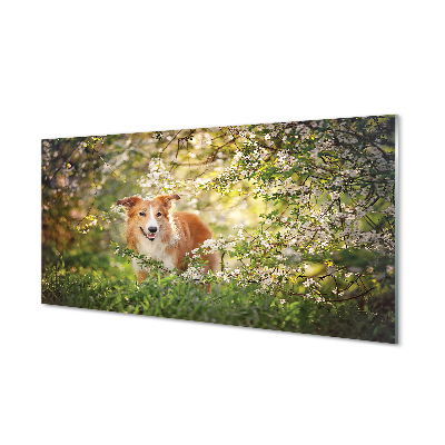 Quadro vetro acrilico Fiori della foresta per cani