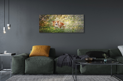 Quadro vetro acrilico Fiori della foresta per cani