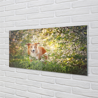 Quadro vetro acrilico Fiori della foresta per cani