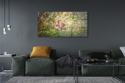 Quadro vetro acrilico Fiori della foresta per cani