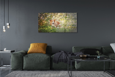 Quadro vetro acrilico Fiori della foresta per cani