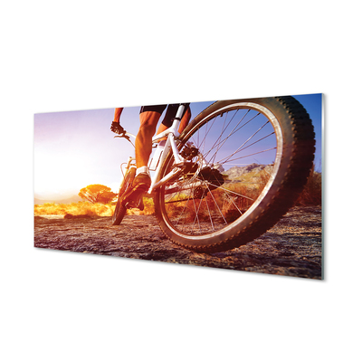 Quadro in vetro acrilico Mountain Bike West