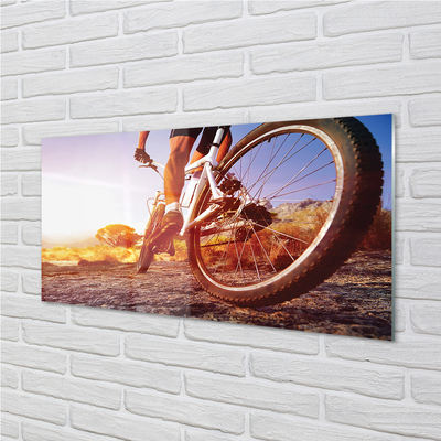 Quadro in vetro acrilico Mountain Bike West