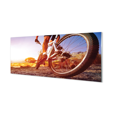 Quadro in vetro acrilico Mountain Bike West