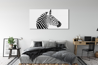 Quadro su vetro acrilico Illustrazione zebra