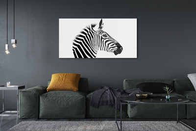 Quadro su vetro acrilico Illustrazione zebra