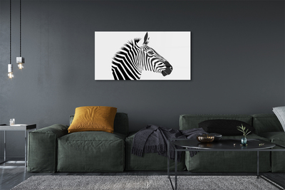 Quadro su vetro acrilico Illustrazione zebra