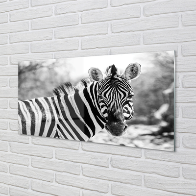 Quadro in vetro acrilico Zebra retrò