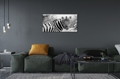 Quadro in vetro acrilico Zebra retrò