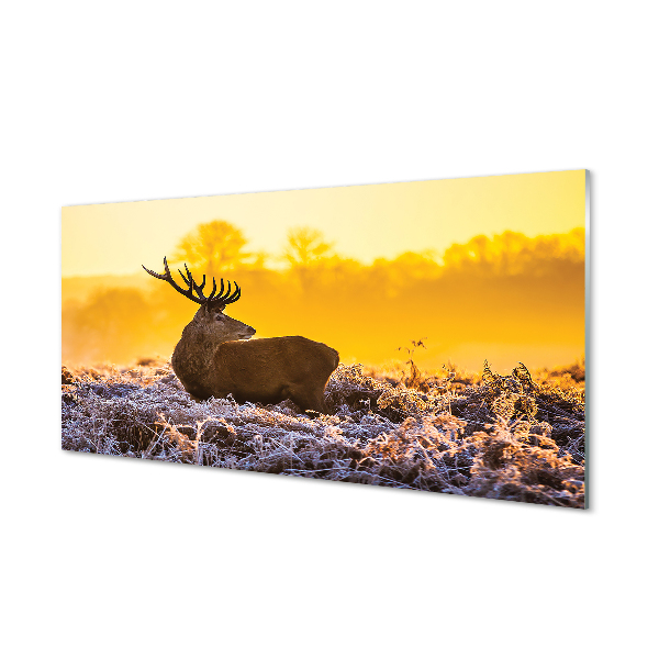 Quadro vetro acrilico Deer Winter Sunrise