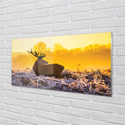 Quadro vetro acrilico Deer Winter Sunrise