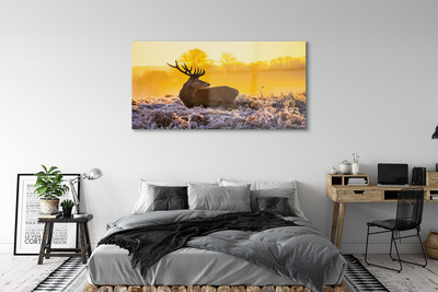 Quadro vetro acrilico Deer Winter Sunrise