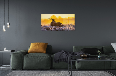 Quadro vetro acrilico Deer Winter Sunrise