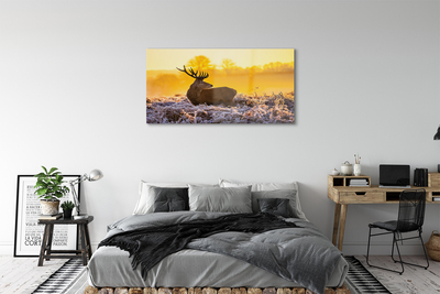 Quadro vetro acrilico Deer Winter Sunrise