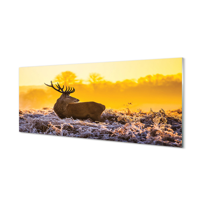Quadro vetro acrilico Deer Winter Sunrise