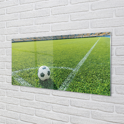 Quadro vetro acrilico Erba a sfera da stadio