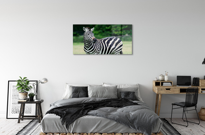 Quadro su vetro acrilico Campo zebra