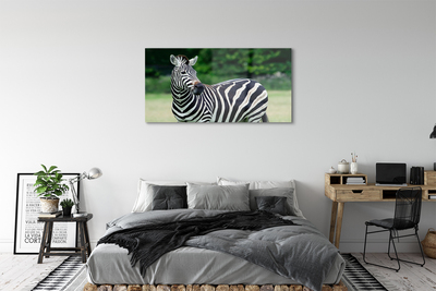 Quadro su vetro acrilico Campo zebra