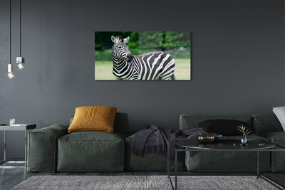 Quadro su vetro acrilico Campo zebra