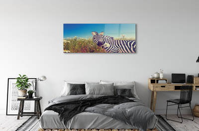 Quadro vetro acrilico Fiori zebra