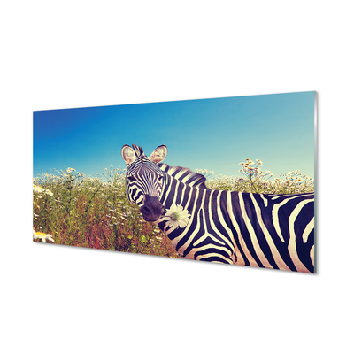 Quadro vetro acrilico Fiori zebra