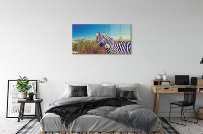 Quadro vetro acrilico Fiori zebra