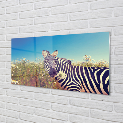 Quadro vetro acrilico Fiori zebra